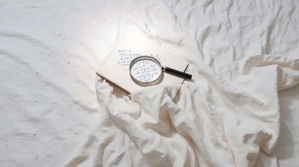 Astuces pour identifier les œufs de punaises de lit facilement